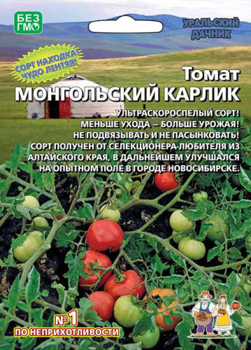 Томат Монгольский Карлик стелющегося типа 