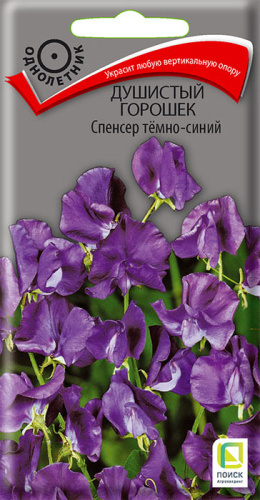 Душистый горошек Спенсер темно-синий 
