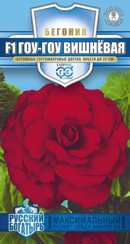 Бегония Гоу-Гоу Вишневая серия Русский богатырь