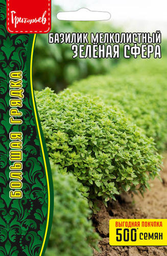 Базилик Зелёная Сфера мелколистный