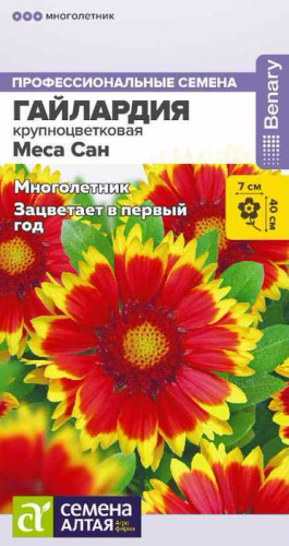 Гайлардия Меса Сан