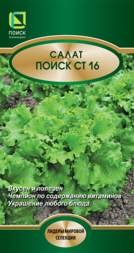 Салат Поиск СТ16 