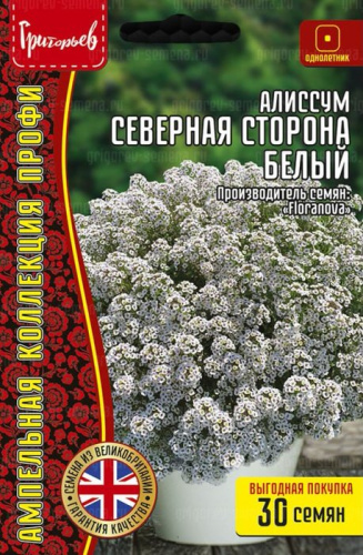 Алиссум Северная Сторона Белый ампельный 