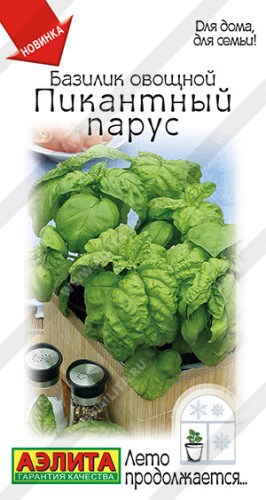 Базилик Пикантный парус Лето продолжается...