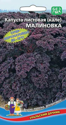Капуста (листовая) Малиновка
