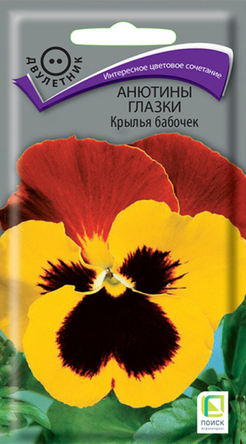 Анютины глазки Крылья бабочек