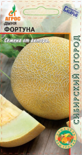 Дыня Фортуна 