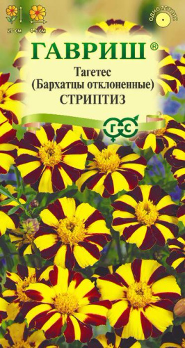 Бархатцы Стриптиз откл.