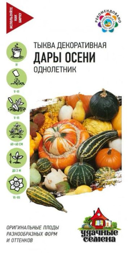 Тыква декоративная Дары осени