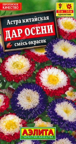 Астра Дар осени, смесь