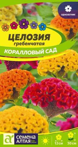 Целозия гребенчатая Коралловый Сад 