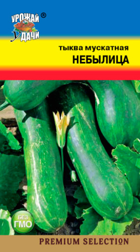 Тыква Небылица Мускатная