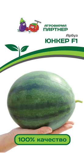 Арбуз Юнкер F1 ( 2-ой пак. ) 