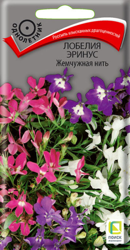 Лобелия Жемчужная нить эринус