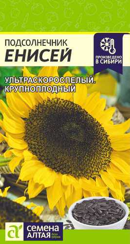 Подсолнечник Енисей 10г