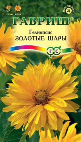 Гелиопсис Золотые Шары шероховатый
