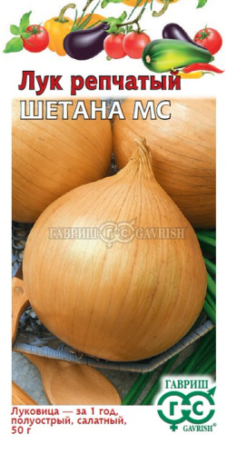 Лук (репчатый) Шетана МС 