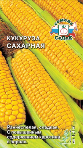 Кукуруза Сахарная 