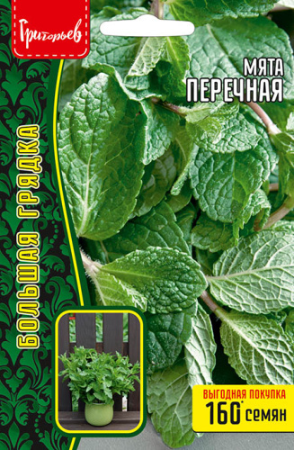 Мята Перечная