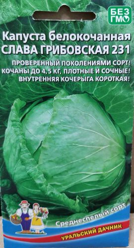 Капуста Слава Грибовская 