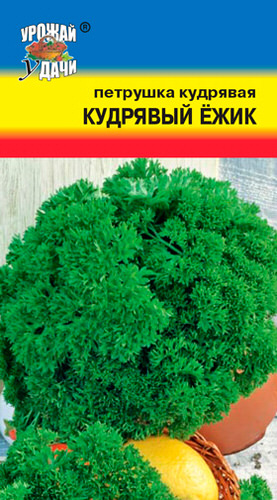 Петрушка Кудрявый Ёжик кудрявая