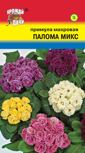Примула Махровая Палома микс