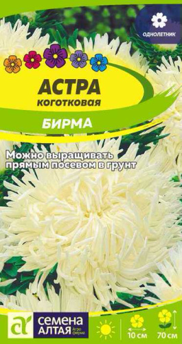 Астра Бирма коготковая