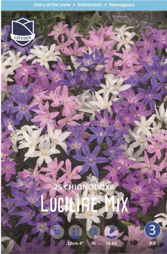 Хионодокса luciliae mix (1х25шт) Хионодокса luciliae mix (1х25шт)