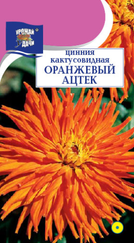 Цинния Оранжевый ацтек кактусовидная 