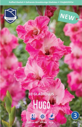 Гладиолус гофрированный Hugo (1х10шт)