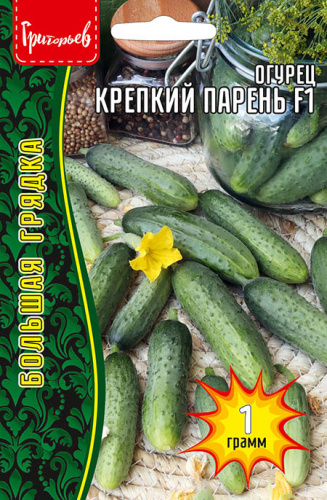 Огурец Крепкий Парень F1