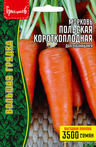 Морковь Польская Короткоплодная