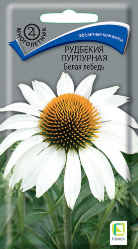 Рудбекия Пурпурная Белая Лебедь