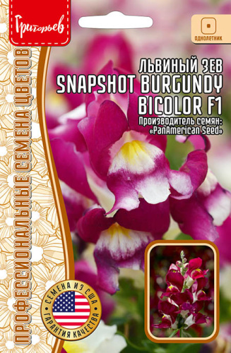 Львиный Зев Snapshot Burgundy Bicolor 