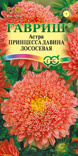 Астра Принцесса Давина лососевая 