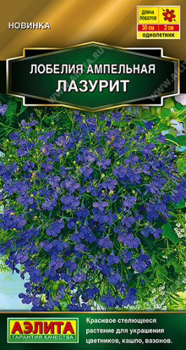 Лобелия Лазурит ампельная