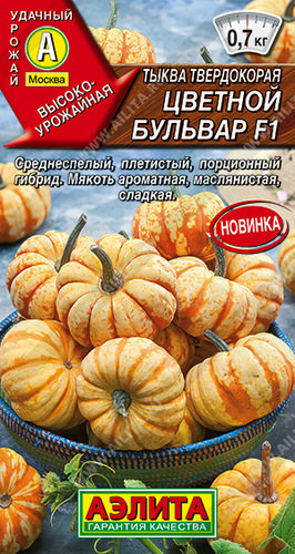 Тыква Цветной бульвар F1 твердокорая