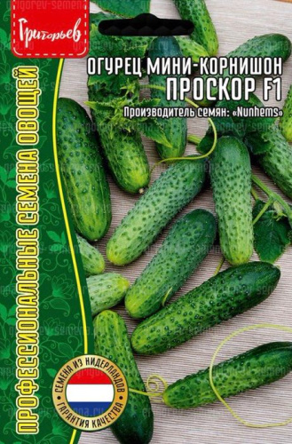 Огурец Проскор F1 мини-корнишон (Proscore)