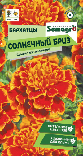 Бархатцы Солнечный Бриз