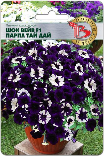 Петуния Шок Вейв F1 Парпл Тай Дай каскадная
