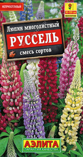 Люпин Руссель, смесь сортов