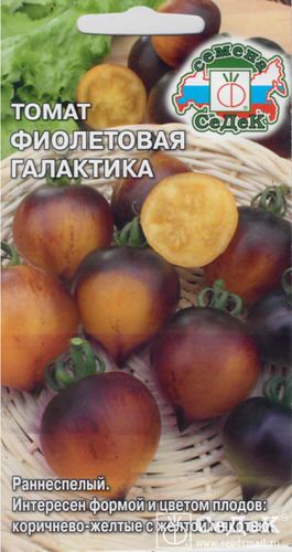 Томат Фиолетовая Галактика 