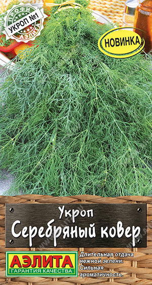Укроп Серебряный ковер 
