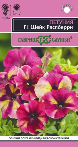 Петуния Шейк Распберри F1 Элитная клумба