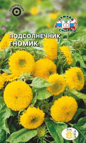 Подсолнечник Гномик махровый низкорослый
