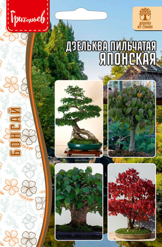Дзельква японская Пильчатая
