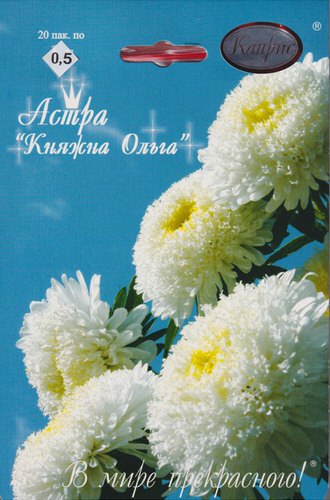 Астра Принцесса Белая (Княжна Ольга)/1шт