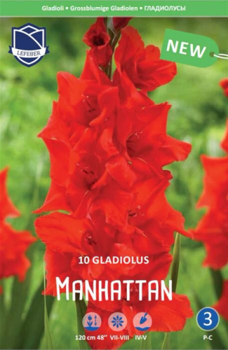 Гладиолус XXL Manhattan 14/16 (1х10шт)