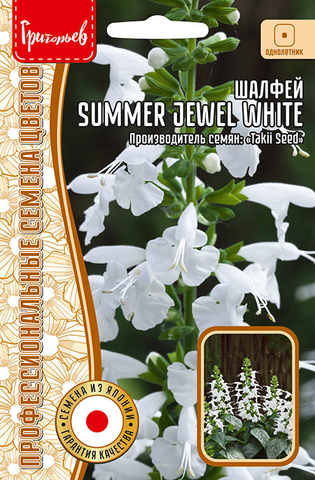 Шалфей Summer Jewel White