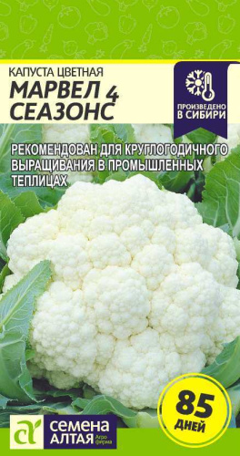 Капуста (цветная) Марвел 4 Сеазонс 